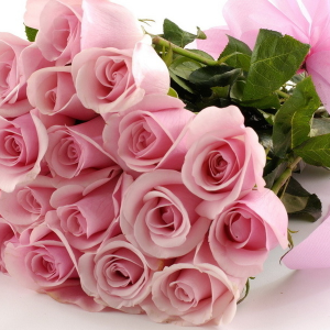 65 бело-розовых роз